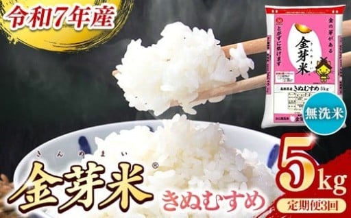 【NEW】 令和7年産 BG無洗米・金芽米きぬむすめ 5kg×3ヵ月 定期便【新米 発送】