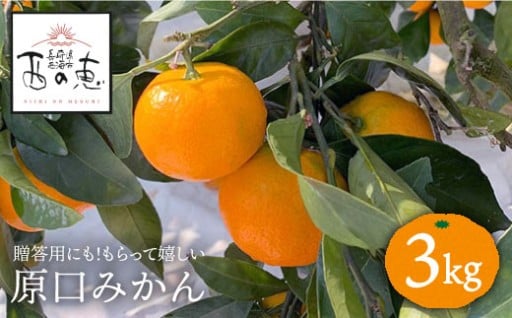 「西の恵」 原口 みかん 約3kg＜ファームまるだ＞ [CDT005]