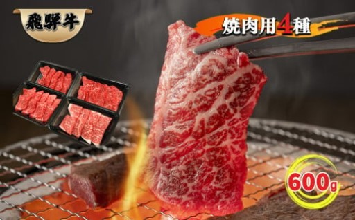 【おうち焼肉】飛騨牛 焼肉用　600ｇ