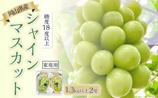 ぶどう 2025年 糖度18度以上 岡山県産 シャインマスカット 1.3kg以上 2房 家庭用＜9月以降発送＞