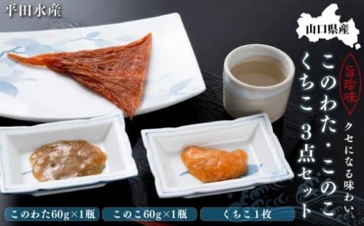 山口県産このわた・このこ・くちこ3点セット