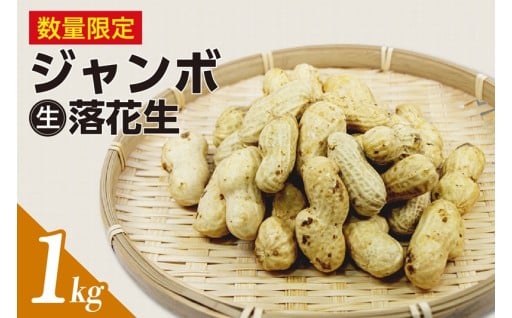 ✨🥜ジャンボ生落花生 1kg🥜✨