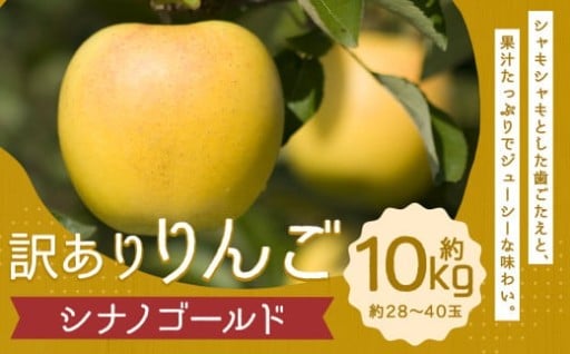 訳あり りんご （シナノゴールド） 約10kg