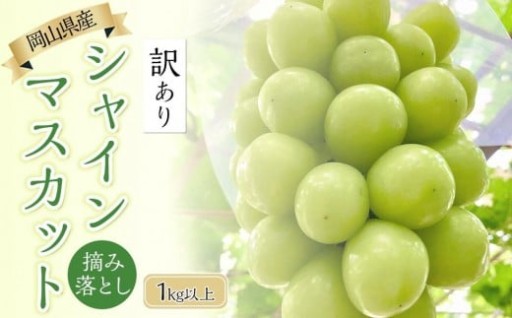 ぶどう 2025年 岡山県産 訳あり シャインマスカット 1kg以上 摘み落とし＜9月以降発送＞