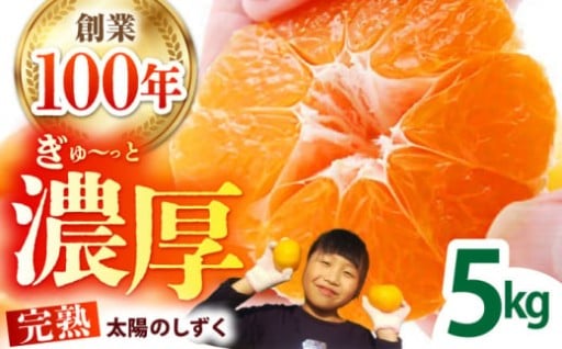 待ってました！冬のごちそうみかん