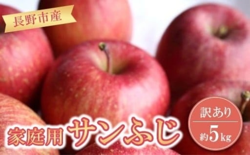 長野市産 サンふじ りんご 家庭用 訳あり 5kg 【2026年1月中旬頃より発送予定】J1051