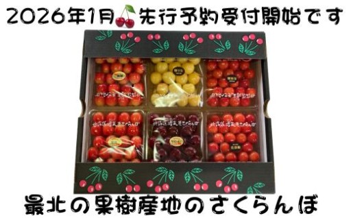 2026年発送≪先行予約さくらんぼ≫