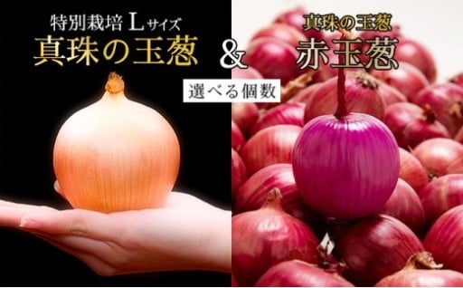 岩見沢産ブランド『真珠の玉葱』