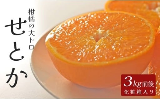 とろける食感で“柑橘の大トロ”と称される高級品種「せとか」🍊