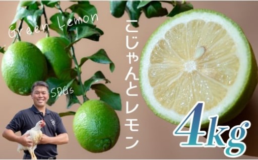 SDGsな取り組みから生まれた「こじゃんとレモン」🍋