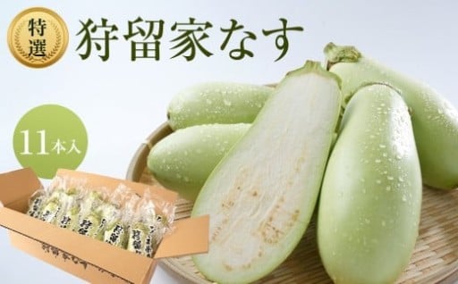 狩留家なす 11本