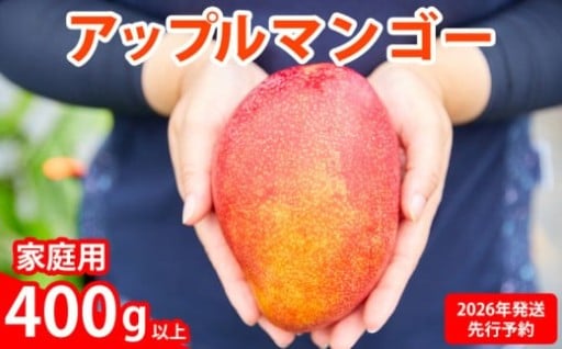 【2026年発送先行予約】アップルマンゴー優品400g以上