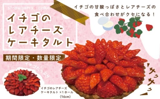 🍓いちごをたっぷり使用！レアチーズタルト🧀💗