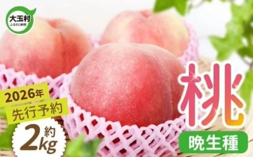 もも 先行予約 福島 大玉村 約 2kg 約6玉