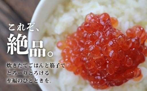 筋子登場☆