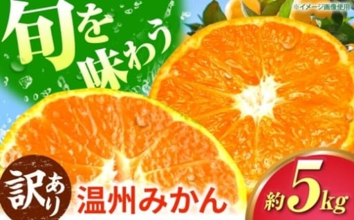 ＼旬を味わう♪／訳あり温州みかん約５kgをお届け！