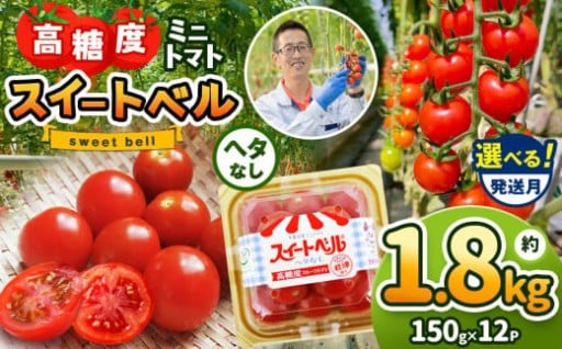  【 選べる 配送月 】 高糖度 ミニトマト スイートベル （ ヘタなし ） 150g × 12P