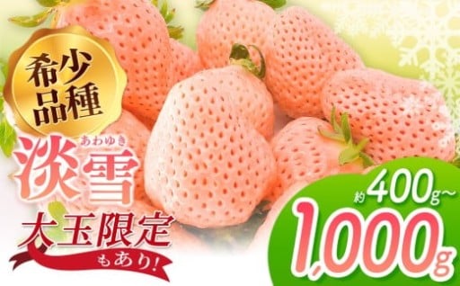 淡雪 選べる 約400g（大玉限定）or 約500g or 約1000g