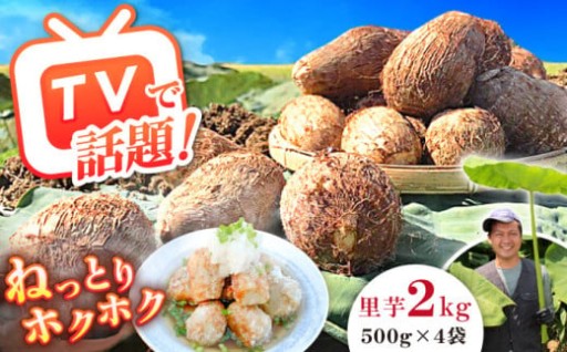 【話題沸騰！】地元が誇る“復活野菜”開成弥一芋