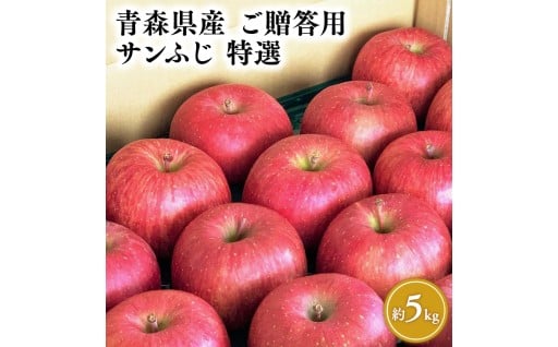 11月発送 【特選】サンふじ5㎏【宮川商店】