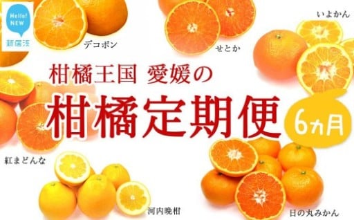 柑橘王国愛媛の柑橘定期便6か月　11月から4月