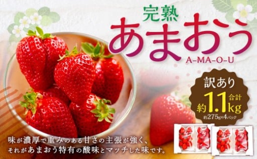 【訳あり】完熟あまおう 4パック