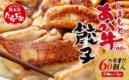 《年末発送 受付中》 くまもとあか牛 100％ 餃子 計60個（20個×3パック）