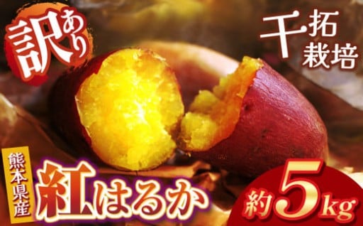干拓栽培 の さつまいも 訳あり 紅はるか 約 5kg