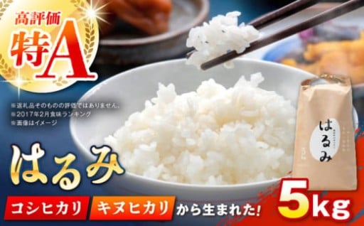 【令和7年度新米】特A実績の甘み!はるみ5kg