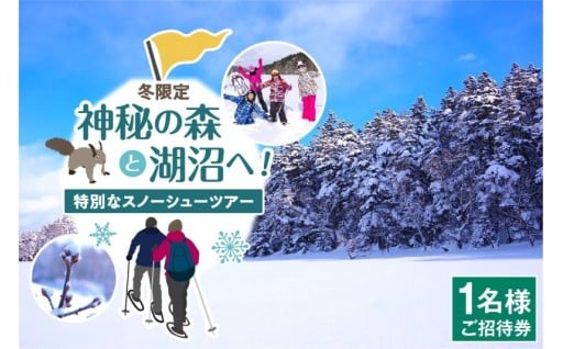 ☃🖤神秘の森と湖沼へ！特別なスノーシューツアー☃🖤