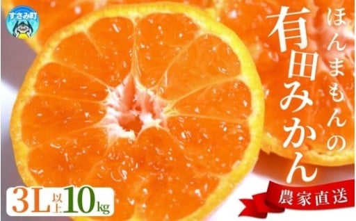 ＼数量限定で復活！！／ ほんまもんの有田みかん🍊