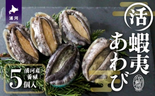 【12月より発送！】活蝦夷あわび×5個☆