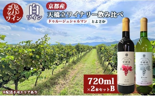 赤ワイン ・ 白ワイン 京都産 天橋立ワイナリー 飲み比べ 720ml×2本セット