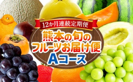 【12か月連続定期便】熊本の旬のフルーツお届け便 （Aコース） 