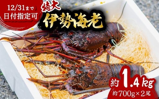 伊勢海老 特大 約1.4kg 約700g×2尾