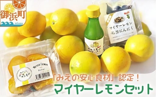 たかみ農園マイヤーレモンセット【こだわりの国産レモン🍋】