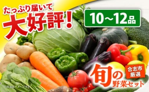 旬のお野菜セット10〜12品の野菜詰め合わせ