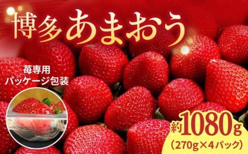 【2026年1月上旬より発送】先行予約！農家直送 朝採り新鮮【博多あまおう】