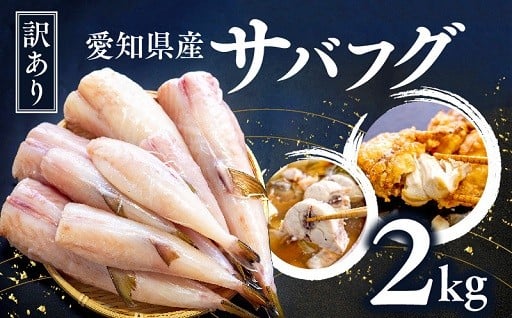 大きさ不揃いのさばふぐをむき身でお届け！お鍋や唐揚げなどにおすすめです。