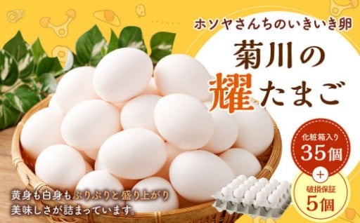 「 ホソヤさんちのいきいき卵 」菊川の耀たまご 40個