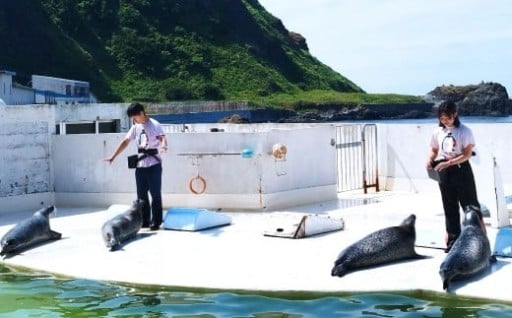 おたる水族館 飼育員体験 オリジナルポスター付