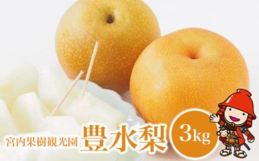 【先行予約】【数量限定】宮内果樹観光園の豊水梨 約3kg 