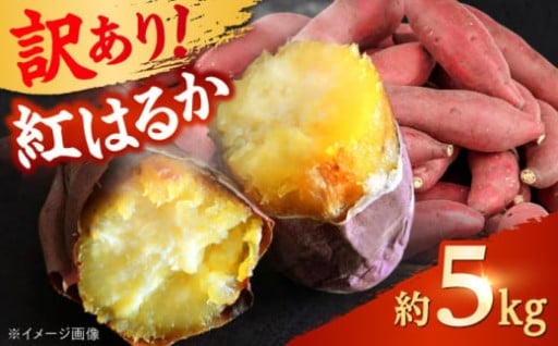 【先行予約・訳あり】紅はるか さつまいも約5kg