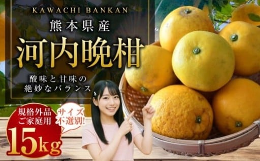 【規格外品】河内晩柑 ご家庭用 15kg サイズ不選別