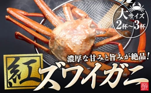 【石川県能登町】【復興支援】紅ズワイガ二・大サイズ