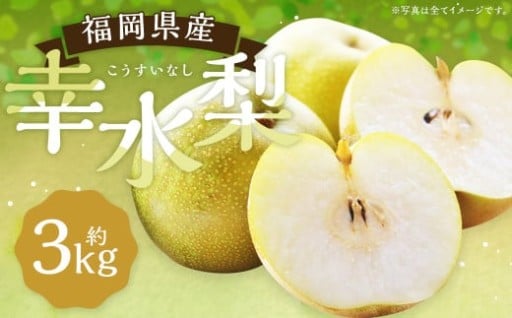 幸水梨 約3kg 5～8玉