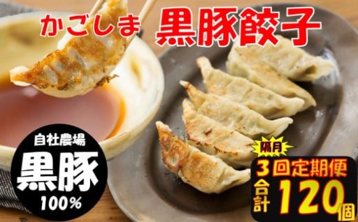 【隔月3回定期便】かごしま黒豚餃子 合計120個