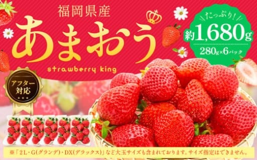 【アフター対応】あまおう 約280g×6パック