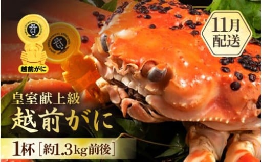 【皇室献上級✨】食べ応え抜群！本場の味🦀越前がに