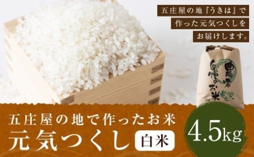 【特Aランク米】五庄屋の地で作ったお米 元気つくし 白米 (4.5kg)